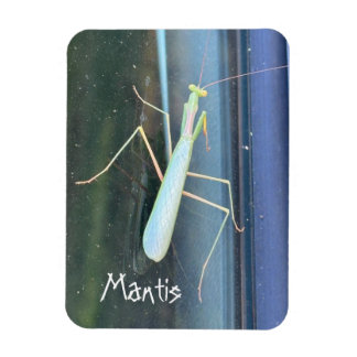 Die Mantis Magnet