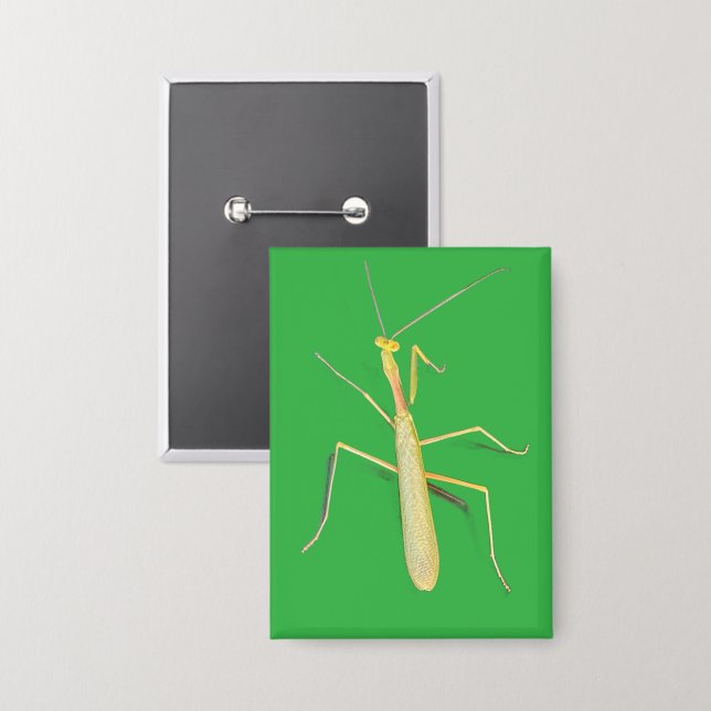 Die Mantis, Platz Button (Vorderseite/Rückseite)