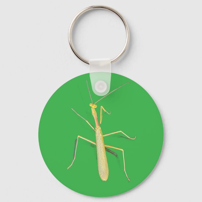 Die Mantis Schlüsselanhänger (Vorderseite)