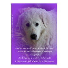 Die Maremma und der Wolf