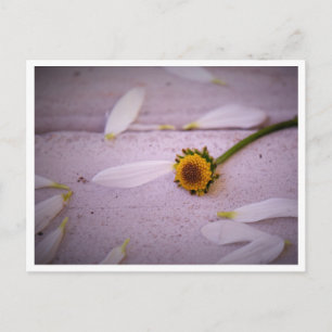 "Die Margaret sagte: JA!" Postkarte