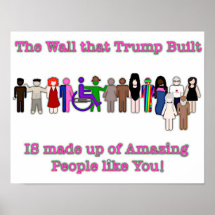 Die Mauer, die Trump gebaut hat Poster