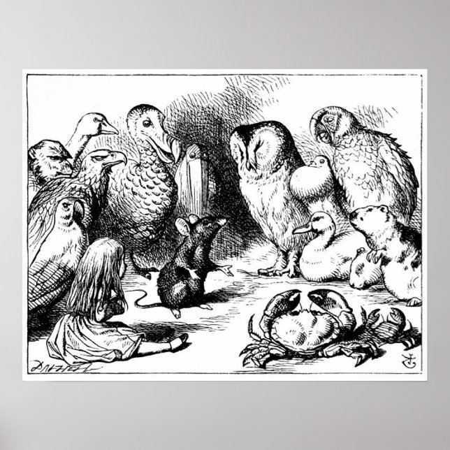 Die Maus und die trockene Geschichte Poster (Vorne)