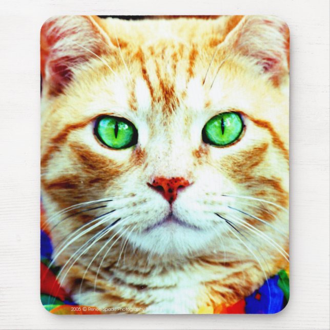 die Mausunterlage Mousepad (Vorne)
