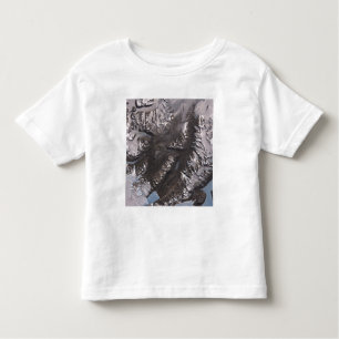 Die McMurdo Dry Valleys Kleinkind T-shirt