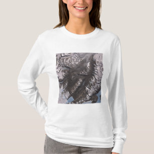 Die McMurdo trockenen Täler T-Shirt