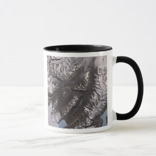 Die McMurdo trockenen Täler Tasse