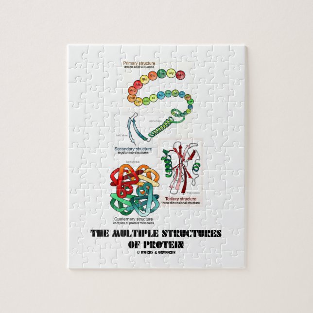 Die mehrfachen Strukturen des Proteins (Biologie) (Vertikal)
