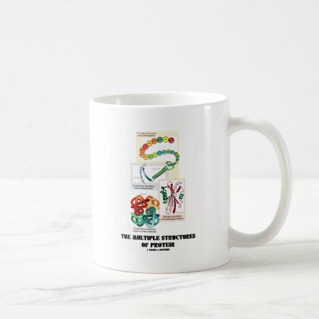 Die mehrfachen Strukturen des Proteins Kaffeetasse (Rechts)