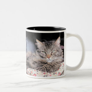 Die menschliche Rasse sollte es besser wissen Zweifarbige Tasse