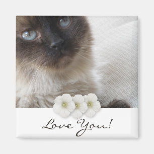 Die Miezekatze des blauen Auges Magnet