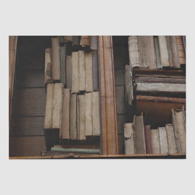 Die mittelalterliche Bibliothek und Bücher der Ant Seidenpapier (Vorderseite)