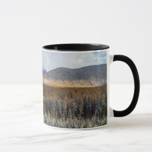 Die Mittelgabel des Flusses Flathead Tasse