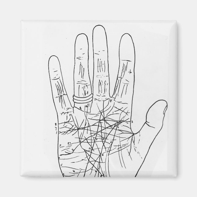 Die Modellhand Magnet (Vorne)