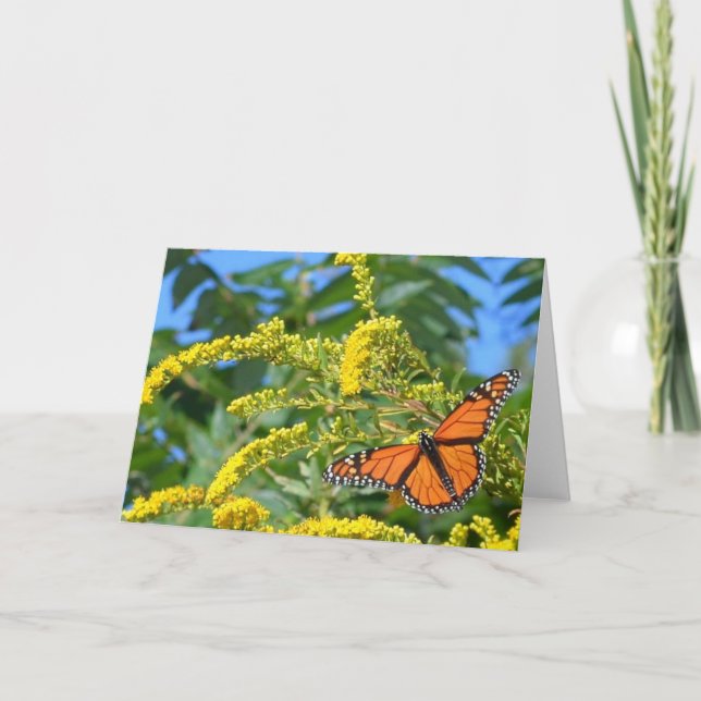 Die Monarchen - Blanche Grußkarte Karte (Vorderseite)