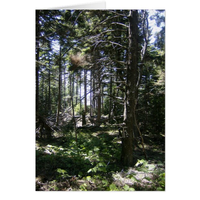 Die monheganische Märchenkarte (Vorne)