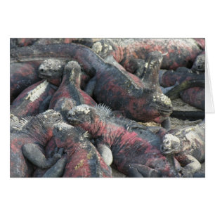 Die Monsterpaktpostkarte