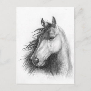 Die Morgan-Portraitkarte Postkarte