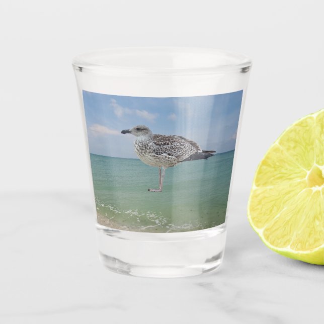 Die Möwen Schnapsglas (Vorderseite)