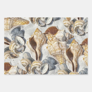 Die Muscheln am Strand bezaubern das Meer Geschenkpapier Set