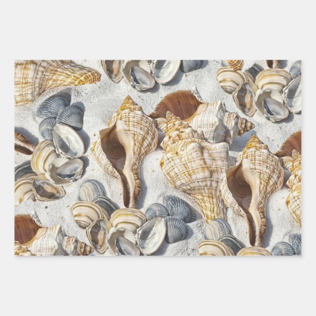 Die Muscheln am Strand bezaubern das Meer Geschenkpapier Set (Vorderseite)