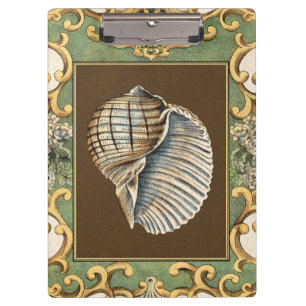 Die Muscheln der kleinen Meerjungfrau Klemmbrett