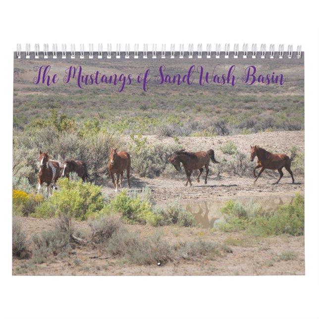 Die Mustangs des Sandwaschbeckens Kalender (Titelbild)