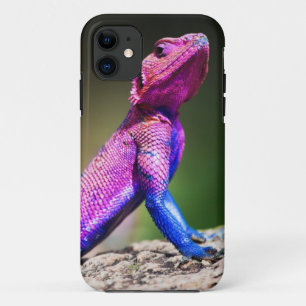 Die Mwanza flachköpfige Dickzungeneidechse auf iPhone 11 Hülle