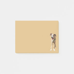 Die Nachricht: Walter the Great Dane Post-it Klebezettel