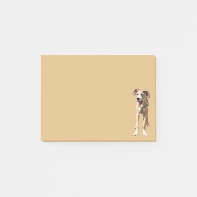 Die Nachricht: Walter the Great Dane Post-it Klebezettel (Vorderseite)
