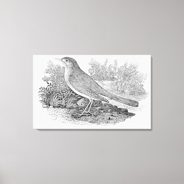 Die Nachtigall Leinwanddruck (Vorderseite)