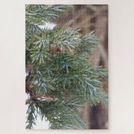 Die Nadeln von Evergreen im Winter im Detail