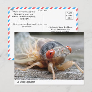 Die Nahe Begegnung: Die faszinierende Welt von Cic Postkarte