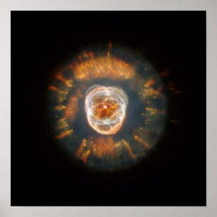 Die NASA - Der Eskimonebelfleck (NGC 2392) Poster