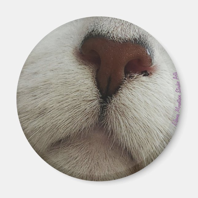 Die Nase kennt den Cat Nose #1-Magneten Magnet (Vorne)