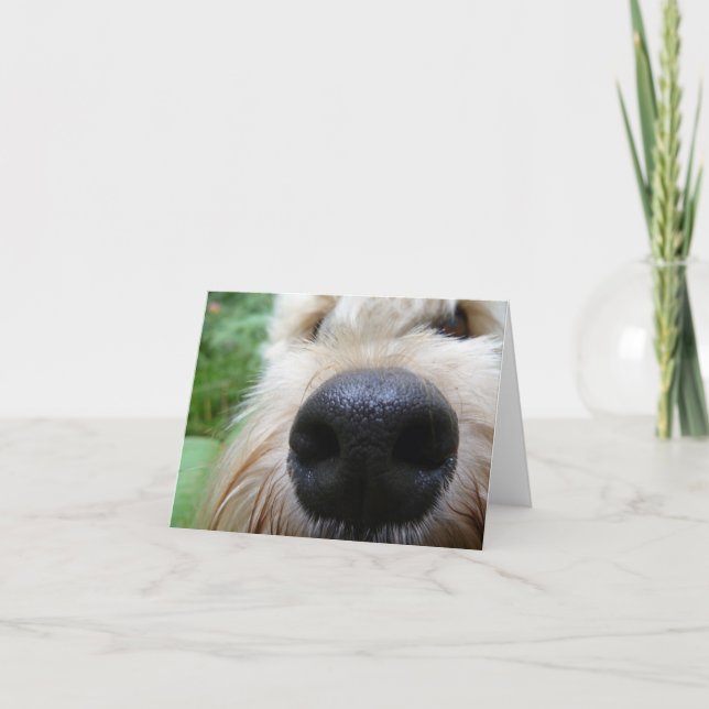 Die Nase weiß! Karte (Vorderseite)