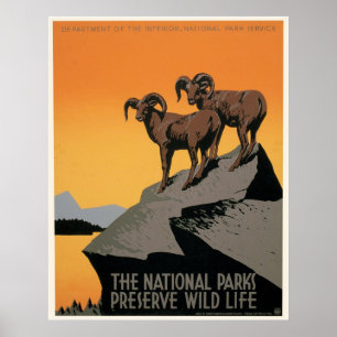 Die Nationalparks schützen die Tierwelt Poster
