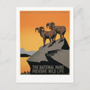 Die Nationalparks schützen die Tierwelt Postkarte