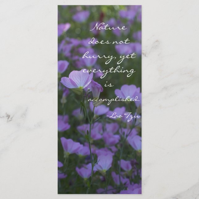 Die Natur eilt nicht (Vorderseite)