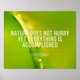Die Natur eilt nicht   Inspiration Zitat Poster