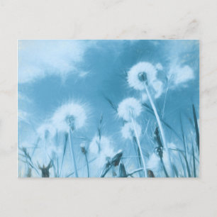 Die Natur in Blau - Löwenzahn - Blume Postkarte