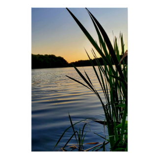 Die Natur in ihrer besten Form Poster