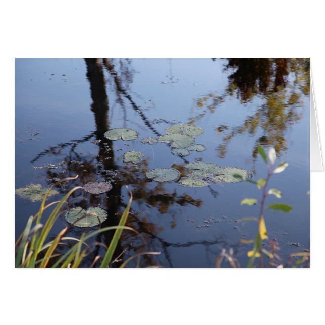 Die Natur ist eine Sprache... (Vorderseite (Horizontal))