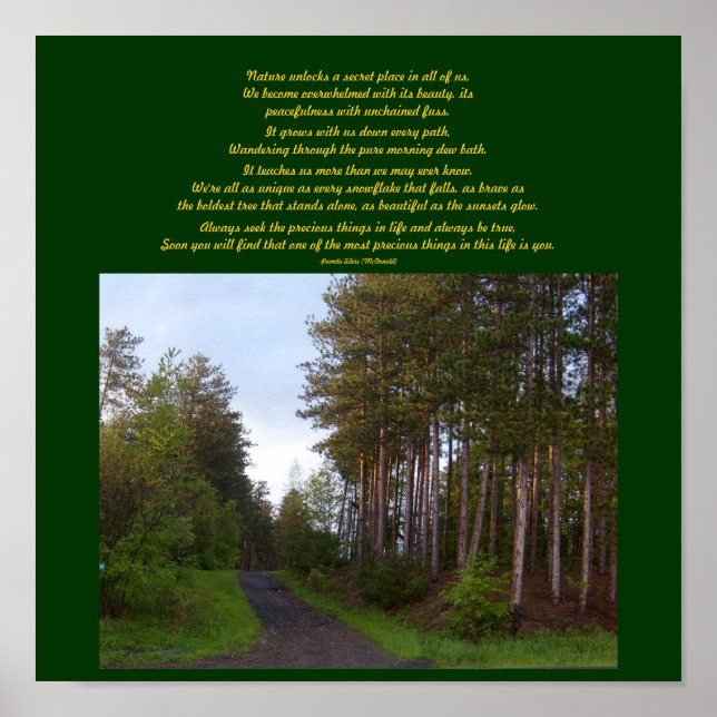 Die Natur lockt einen geheimen Ort...Poster Poster (Vorne)