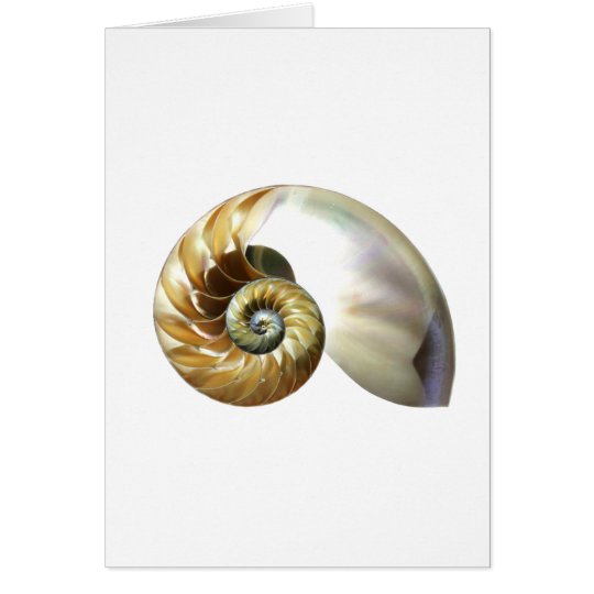 Die nautilus-Muschel Karte