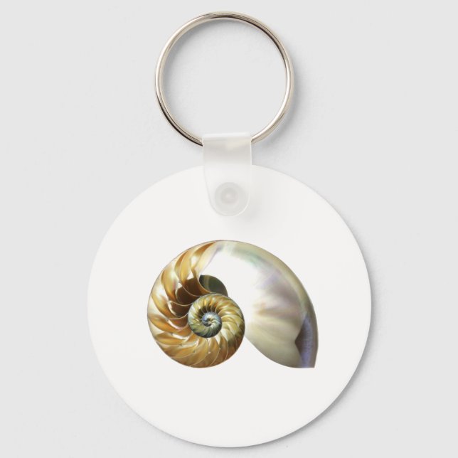 Die Nautilus-Muschel Schlüsselanhänger (Vorderseite)