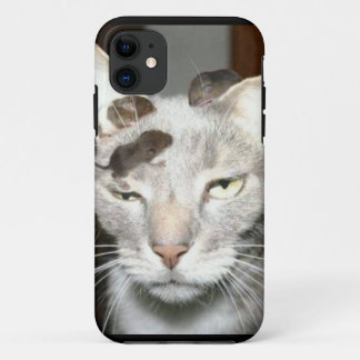 Die neue mürrische Katze! Case-Mate iPhone Hülle