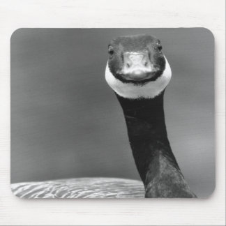 Die neugierige Gans Mousepad