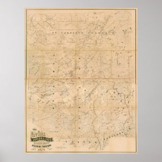 Die New York Wilderness. Karte 1879. Poster