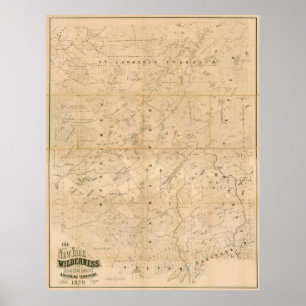 Die New- Yorkwildnis. Karte 1879 Poster